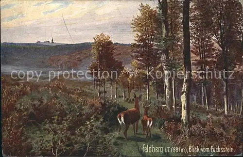 Verlag Wiedemann WIRO Nr. 2072 A Feldberg Taunus Blick vom Fuchsstein  Kat. Verlage