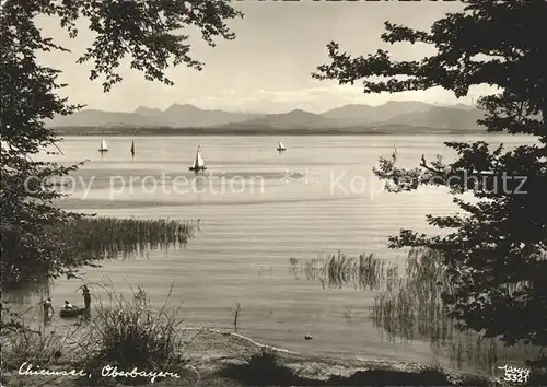 Foto Popp Nr. 3321 Chiemsee  Kat. Fotografie