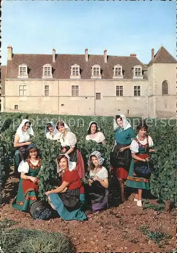 Ernte Landwirtschaft Weinlese Vendange Bougogne Clos de Vougeot  Kat. Landwirtschaft