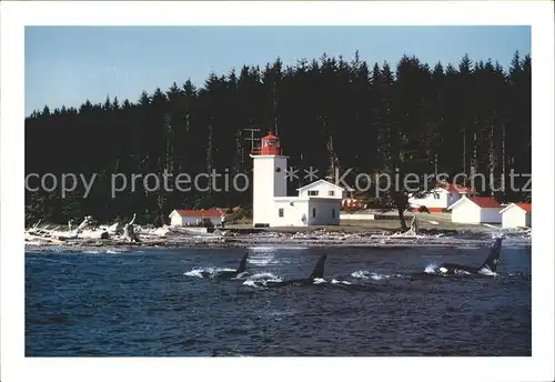 Leuchtturm Lighthouse Pultney Point Malcom Island Schwertwal Kat. Gebaeude