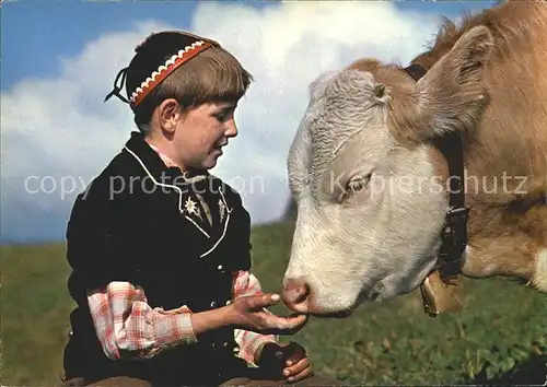 Kuehe Sennenbub Alm  Kat. Tiere