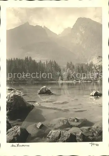 Foto Popp Nr. Hintersee  Kat. Fotografie