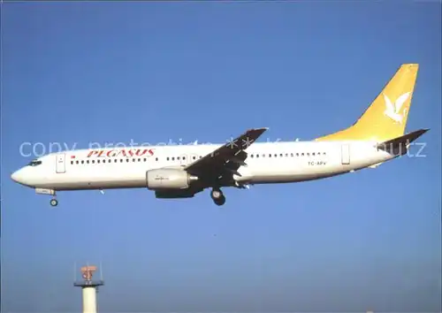 Flugzeuge Zivil Pegasus B737 800 TC APV Kat. Airplanes Avions