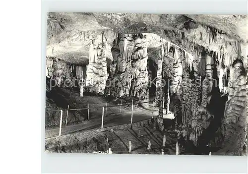 Hoehlen Caves Grottes Postojna Slowenien Kat. Berge