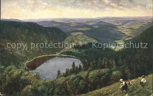 Hoffmann Heinrich Feldberg Seebuck Feldsee  Kat. Kuenstlerkarte