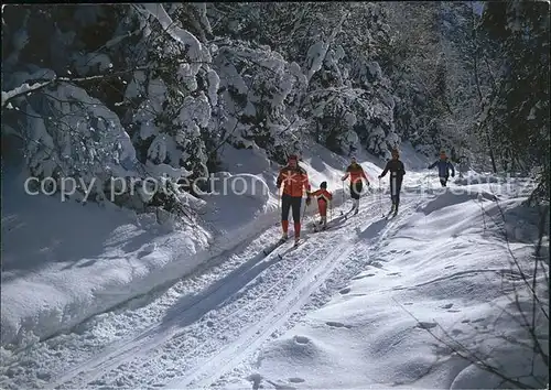 Ski Langlauf Skiwandern  Kat. Sport