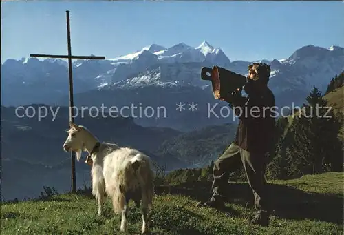 Ziege Betruf Senn Wetterhorngruppe Kat. Tiere