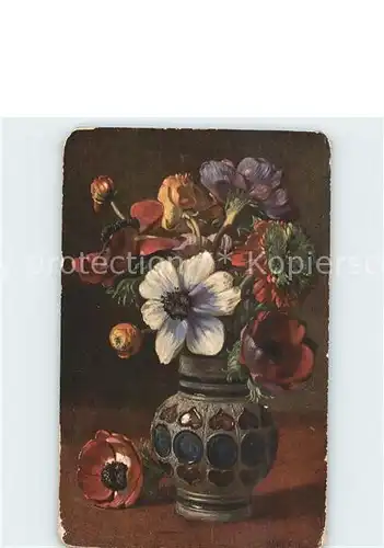 Blumen Mohnblumen Anemone Vase  Kat. Pflanzen