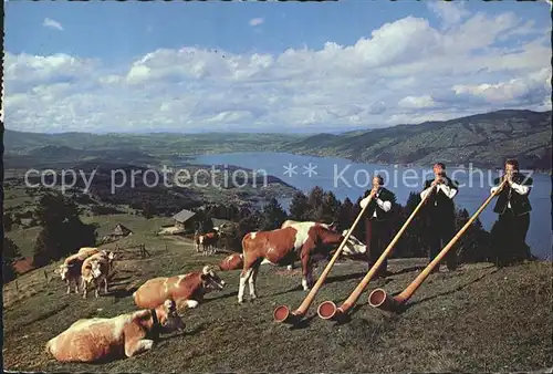 Alphorn Alphorntrio Morgebaerg Aeschiried Thunersee Kuehe  Kat. Musik