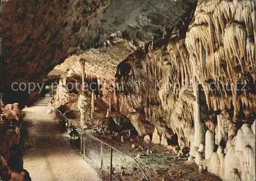 Hoehlen Caves Grottes Baerenhoehle Karlshoehle Erpfingen  Kat. Berge