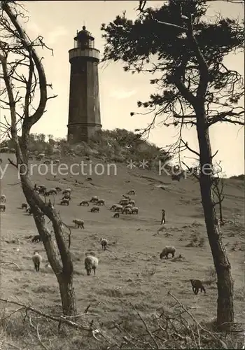 Leuchtturm Lighthouse Am Dornbusch Insel Hiddensee  Kat. Gebaeude