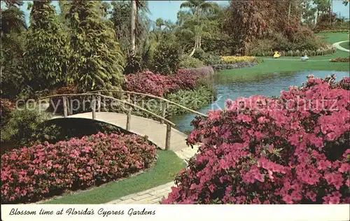 Blumen Blossom Florida s Cypress Gardens  Kat. Pflanzen