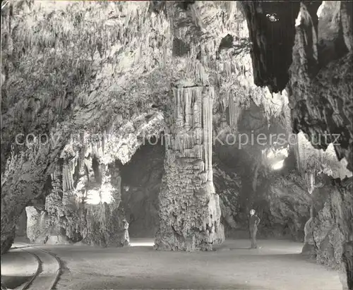 Hoehlen Caves Grottes Postojnska Jama Postojna  Kat. Berge