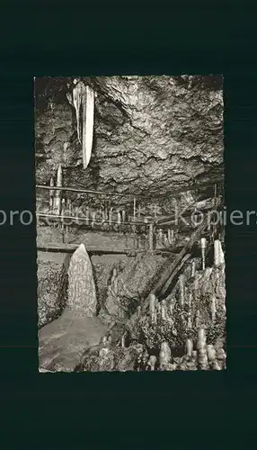 Hoehlen Caves Grottes Sophienhoehle Burg Rabenstein Bienenkopf Elefantenohr  Kat. Berge