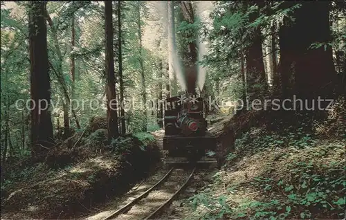 Lokomotive Dixiana Shay Santa Cruz Mountains Roaring Camp and Big Trees Narrow Gauge Railroad  Kat. Eisenbahn