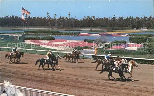 Pferdesport Pferderennen Reitsport Hollywood Park Inglewood California  Kat. Sport