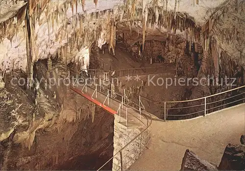 Hoehlen Caves Grottes Postojnska Jama Ruski Most Kat. Berge