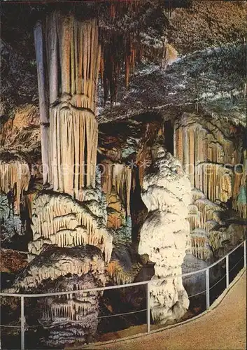 Hoehlen Caves Grottes Postojnska jama Postojna Kat. Berge