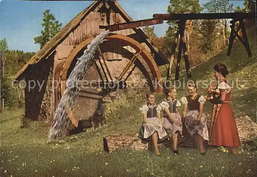 Wassermuehle Schwarzwaelder Tal  Kat. Gebaeude und Architektur