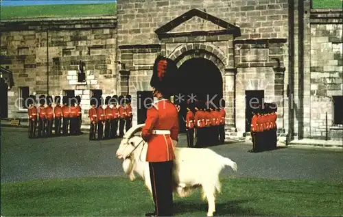 Leibgarde Wache Changing of the Guard La Citadelle Quebec Canada Ziege Kat. Polizei