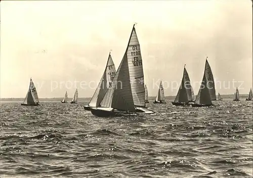 Segelboote Segelregatta Warnemuende  Kat. Schiffe