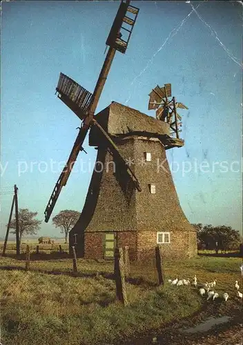 Windmuehle Erdhollaendermuehle Roevershagen  Kat. Gebaeude und Architektur