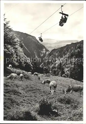 Sessellift Weissenstein Kuehe  Kat. Bahnen