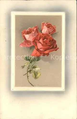 Verlag Meissner und Buch Rosen Litho / Verlage /