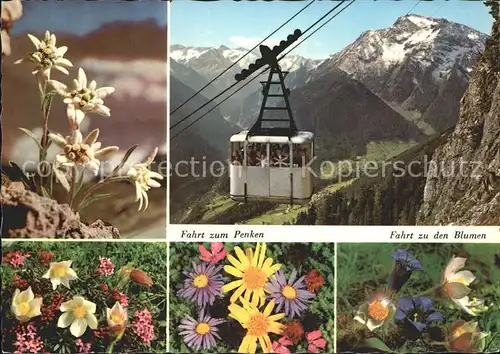 Seilbahn Penkenbahn Gruenberg Zillertal Edelweiss Enzian  Kat. Bahnen