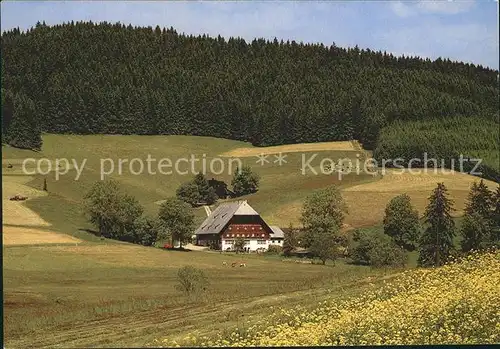 Schwarzwald Bauernhaus Kat. Regionales