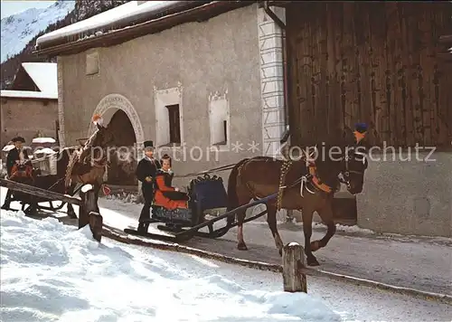 Engadin GR Schiltteda Pferde  Kat. St Moritz