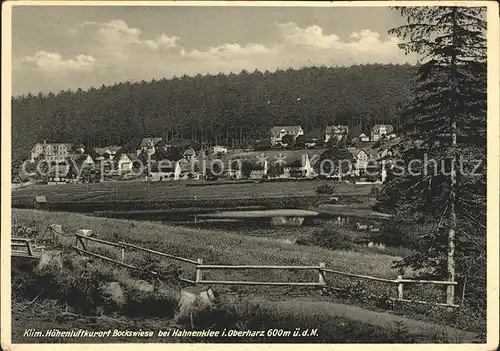 Bockswiese Hahnenklee Harz  Kat. Goslar