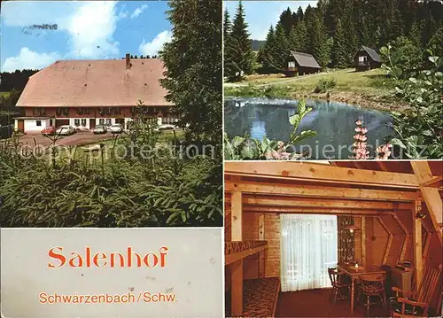 Schwaerzenbach Titisee-Neustadt Salenhof / Titisee-Neustadt /Breisgau-Hochschwarzwald LKR