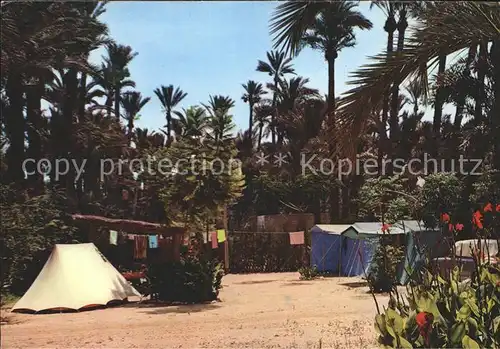 Elche Camping Palmeral vista parcial Kat. Elche