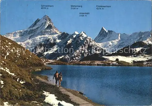 Grindelwald Bachsee Schreckhorn Mettenberg Finsteraarhorn Ankenbaelli Kat. Grindelwald