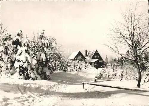 Altenberg Erzgebirge Waldschaenke Altes Raupennest Winterlandschaft Kat. Geising