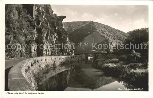 Foto Zeitz F.G. Nr. 1336 Bunte Kuh Walporzheim  Kat. Berchtesgaden