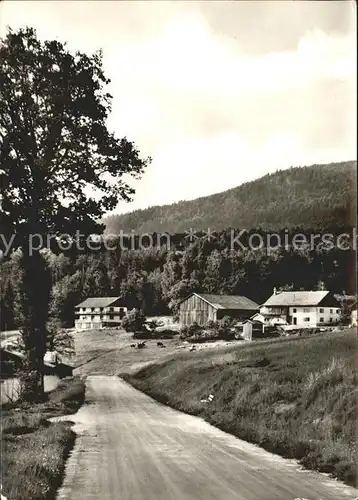 Waltersau Arnbruck Pension Franz Saller