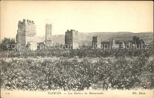 Tlemcen Les Ruines de Mansourah Kat. Algerien