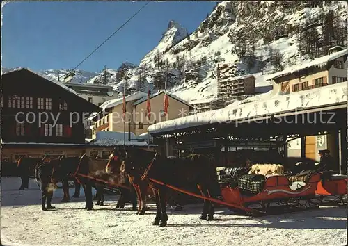 Zermatt VS Pferdeschlitten am Bahnhof Matterhorn Wintersportplatz Kat. Zermatt