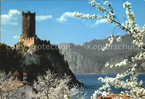 Malcesine Lago di Garda Castello Scaligero Kat. Malcesine