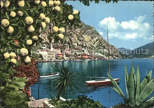 Limone sul Garda Teilansicht Kat. 