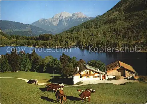 Berchtesgaden Hintersee mit Hohem Goell Kat. Berchtesgaden