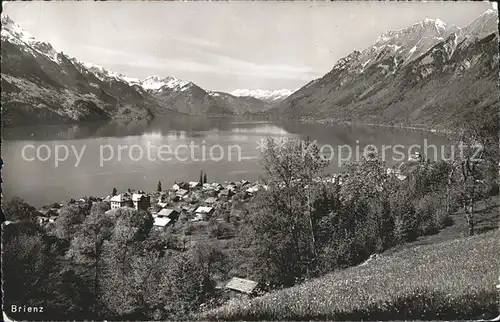 Brienz BE Brienzersee Alpenpanorama Kat. Brienz