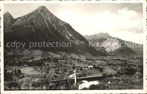 Allmend Aeschi Blick auf den Niesen Berner Alpen Kat. Aeschi Spiez