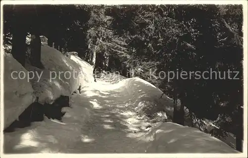 Klosters GR Waldweg im Winter Kat. Klosters