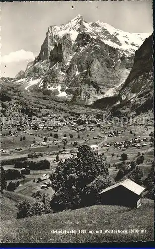 Grindelwald mit Wetterhorn Kat. Grindelwald