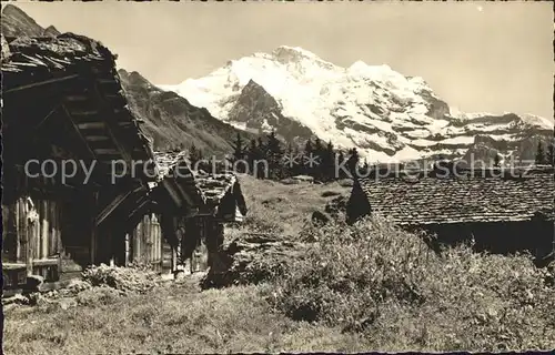 Wengen BE Berghuetten mit Jungfrau Kat. Wengen