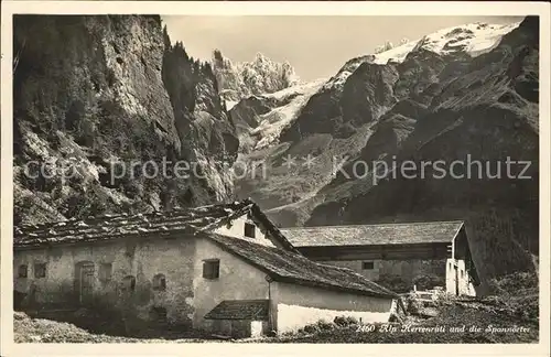 Engelberg OW Alp Herrenrueti und die Spannoerter Alpen Kat. Engelberg