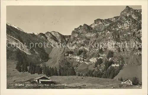 Engelberg OW Gerschnialp Alpen Kat. Engelberg